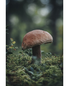 test config product with 2 options